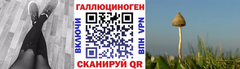 Купить где  Спас-Клепики  Галлюциногенные грибы Cubensis 